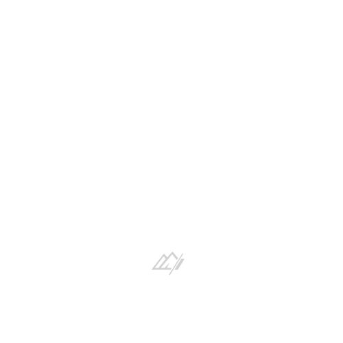 Alpyne Dynamics 365 Sales CRM and Microsoft 365 Maintenance